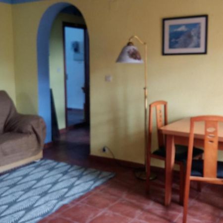 Sunshine Apartment At Tropical Coast Of Granada Almuñécar Exterior foto